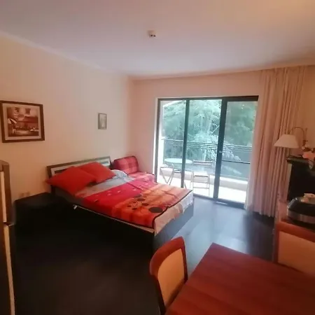 Apartment Dream