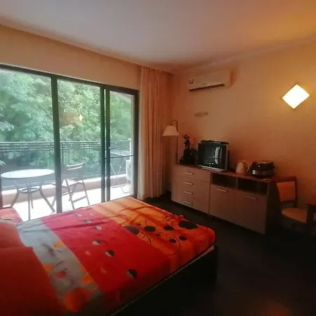 Dream Apartment